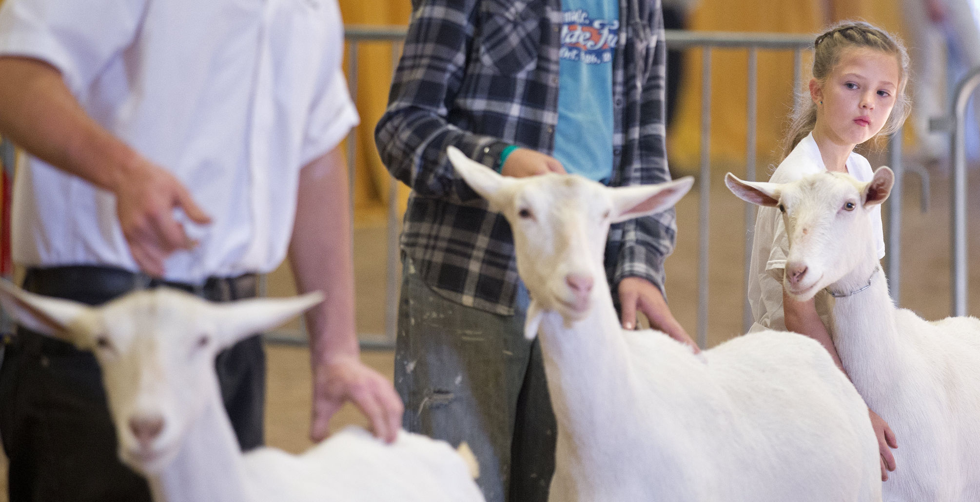 2017 N.C. State Fair